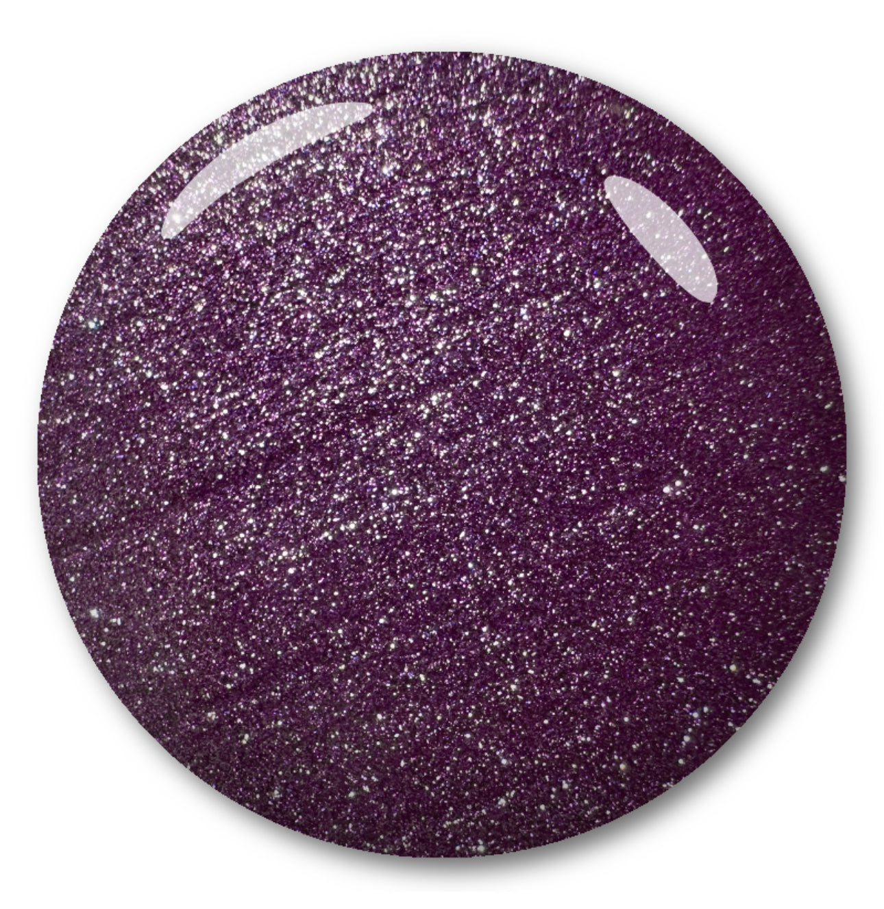 Sea Urchin - HEMA FREE