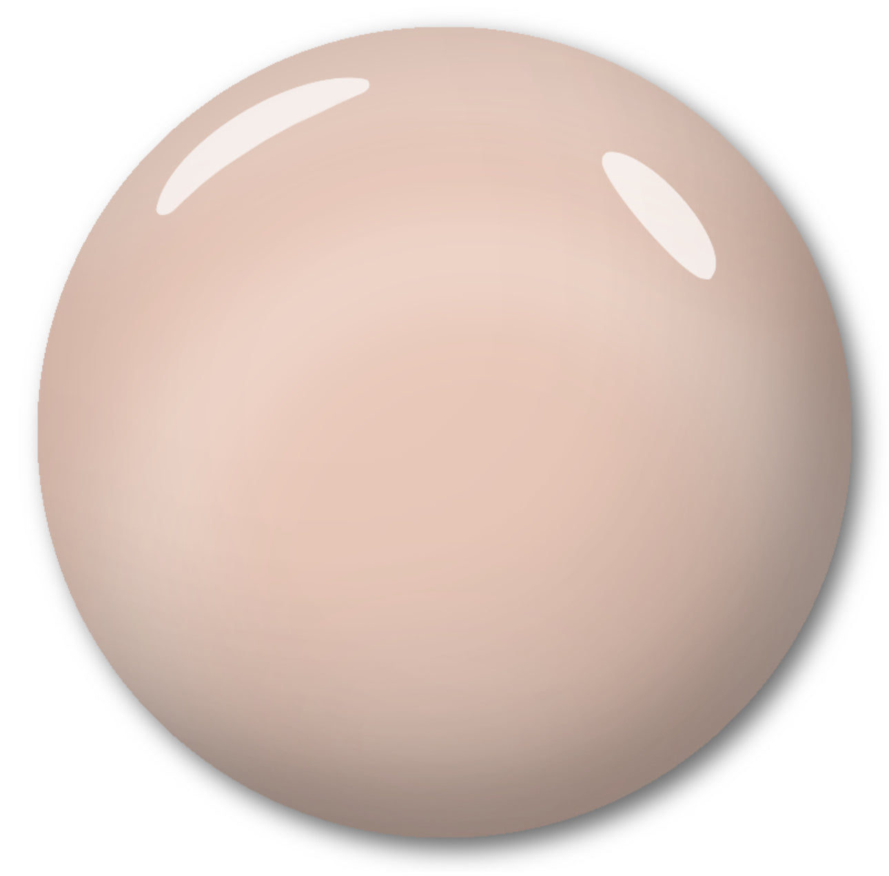 Seashell - HEMA FREE